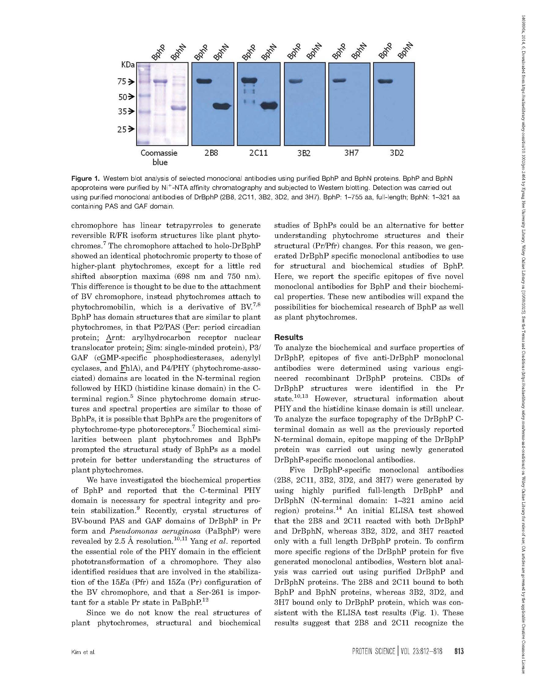2014 Protein Sci._페이지_2.jpg