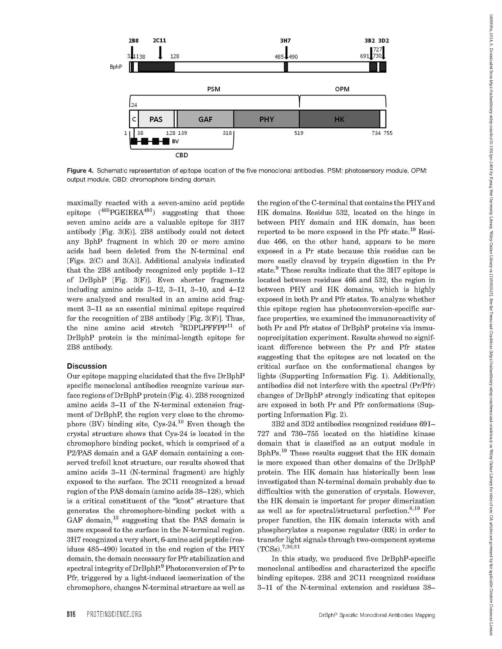 2014 Protein Sci._페이지_5.jpg