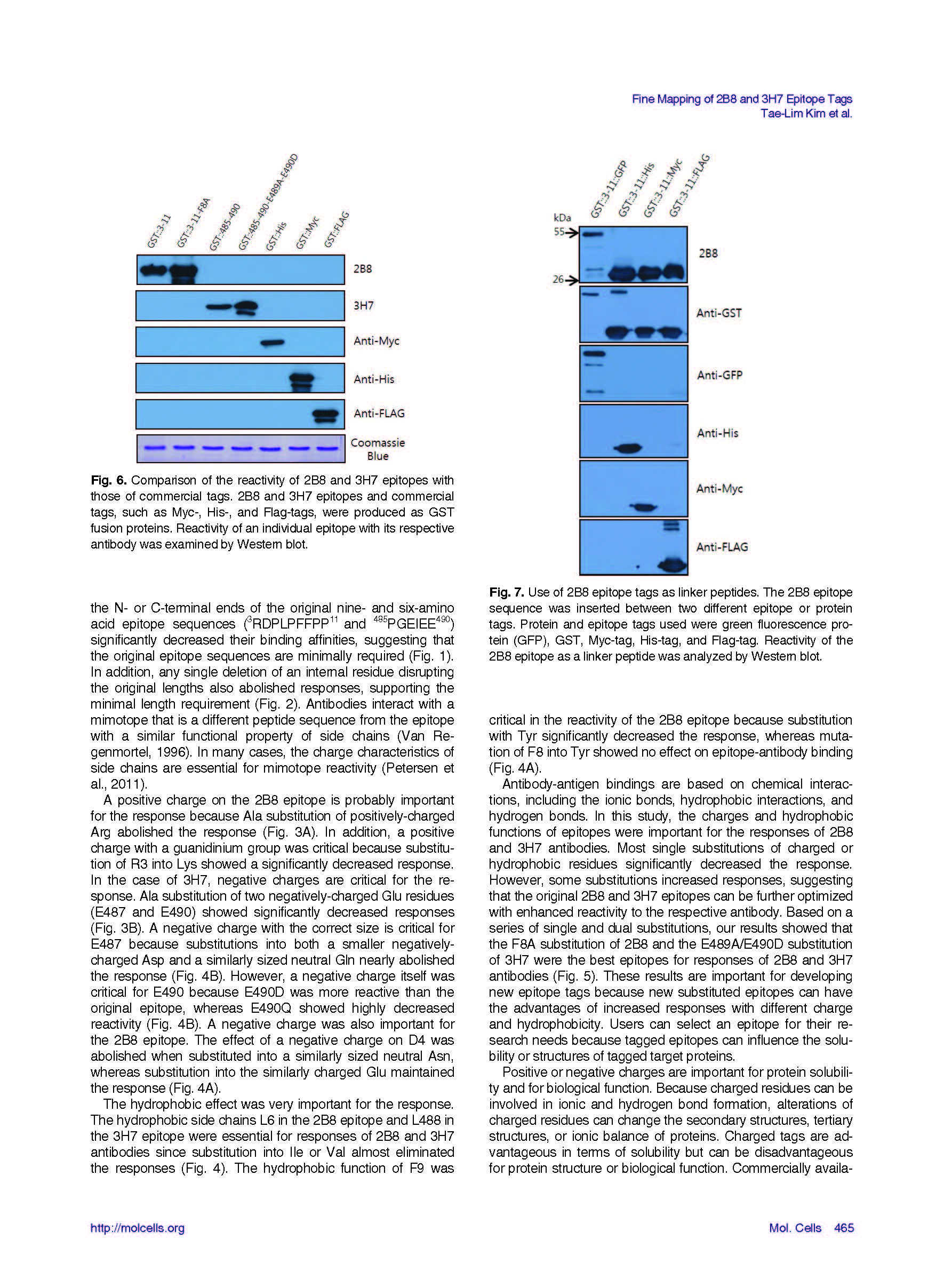 2016 Mol. Cells_페이지_6.jpg