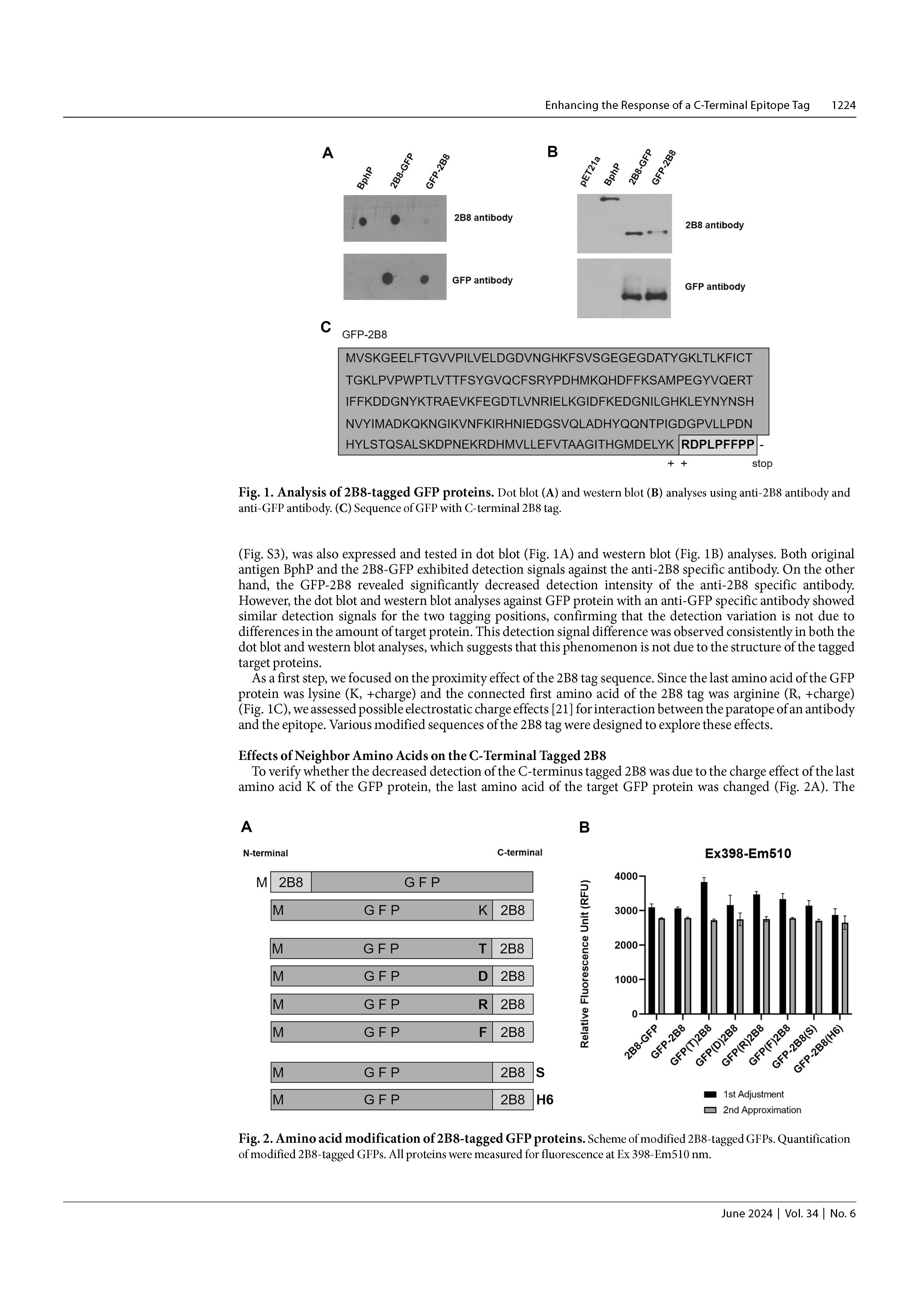 2024 JMB_페이지_3.jpg