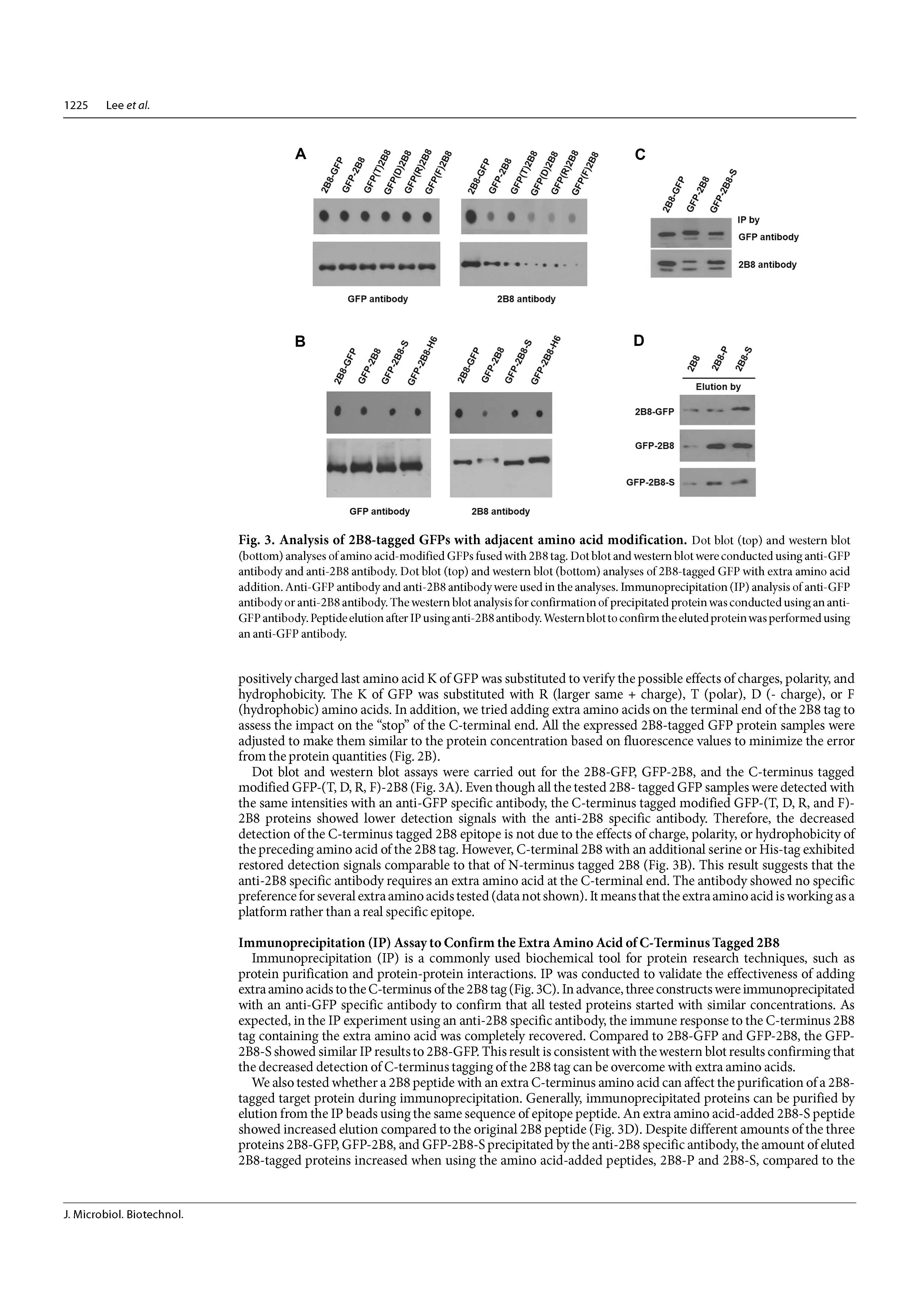 2024 JMB_페이지_4.jpg