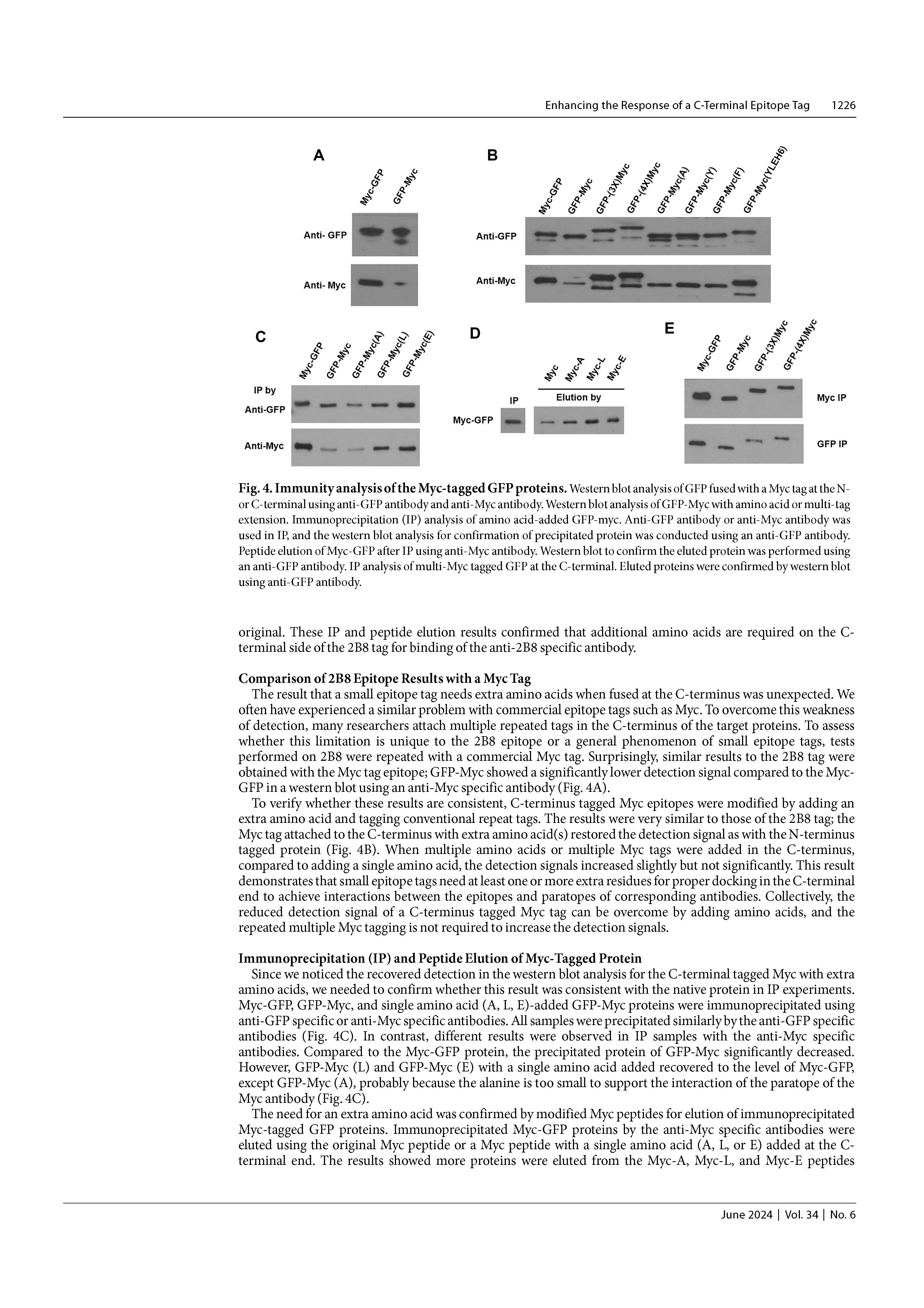 2024 JMB_페이지_5.jpg
